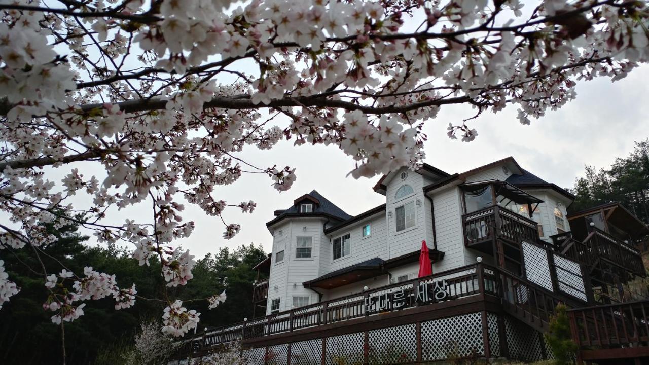 Another World Pension Gyeongju Ngoại thất bức ảnh