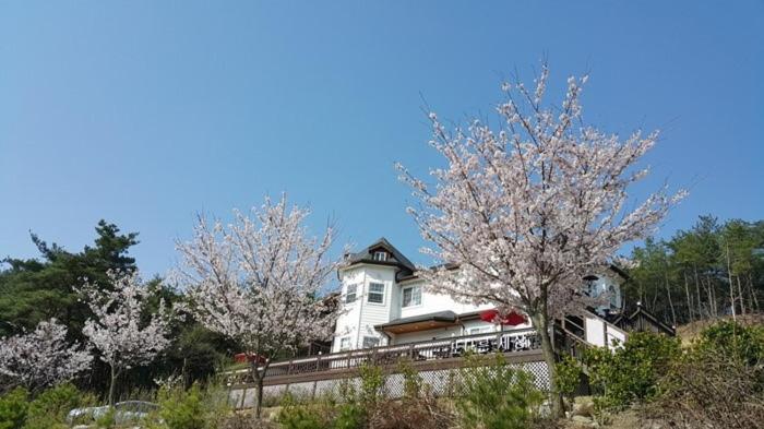 Another World Pension Gyeongju Ngoại thất bức ảnh